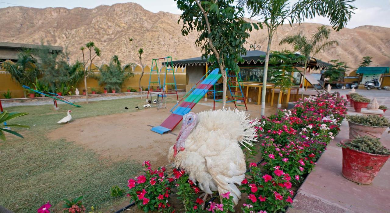 Serene Aravali Resort, Пушкар Екстериор снимка